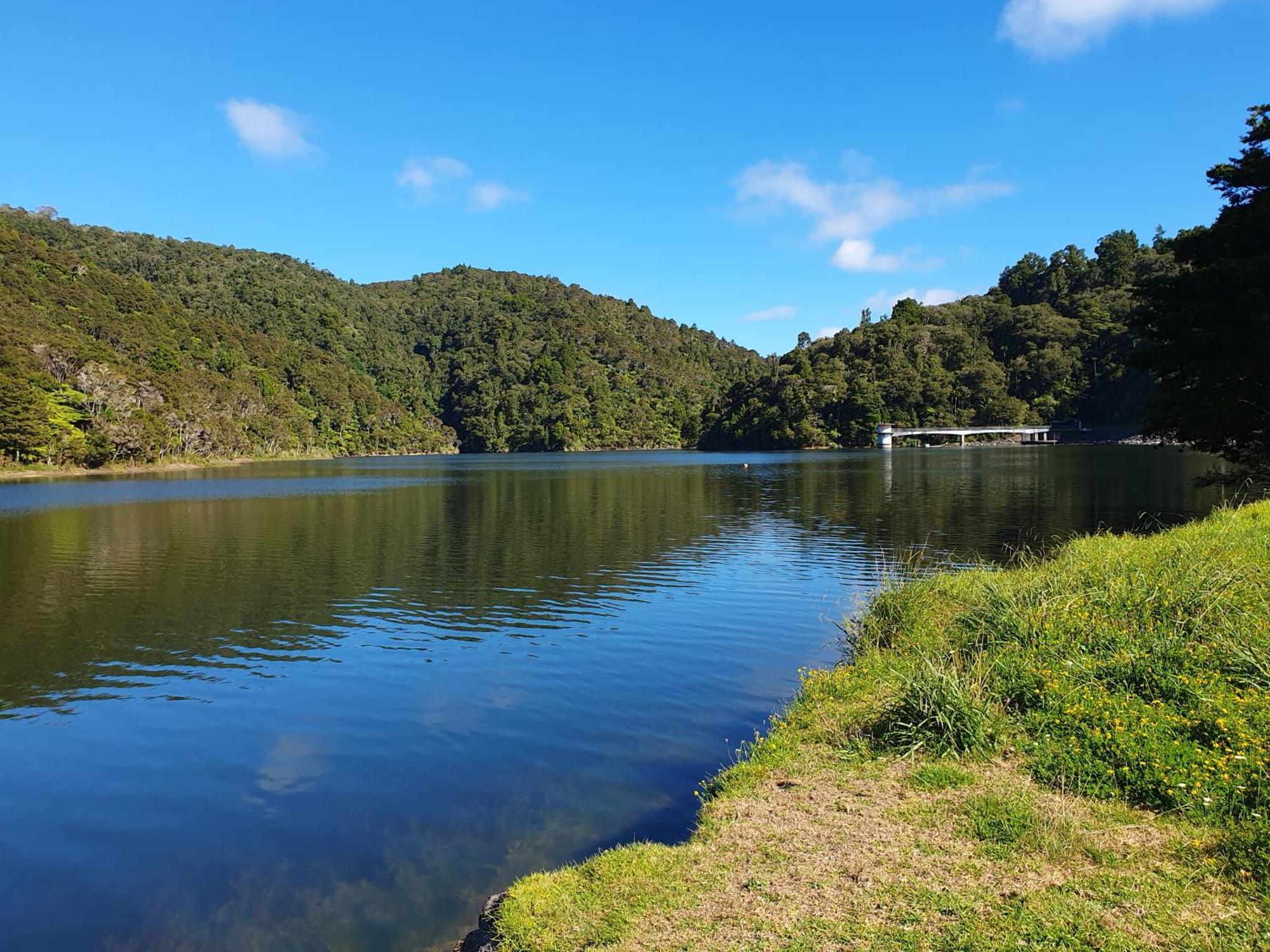 Quiet. Comfy Oasis In Whangarei Kültér fotó